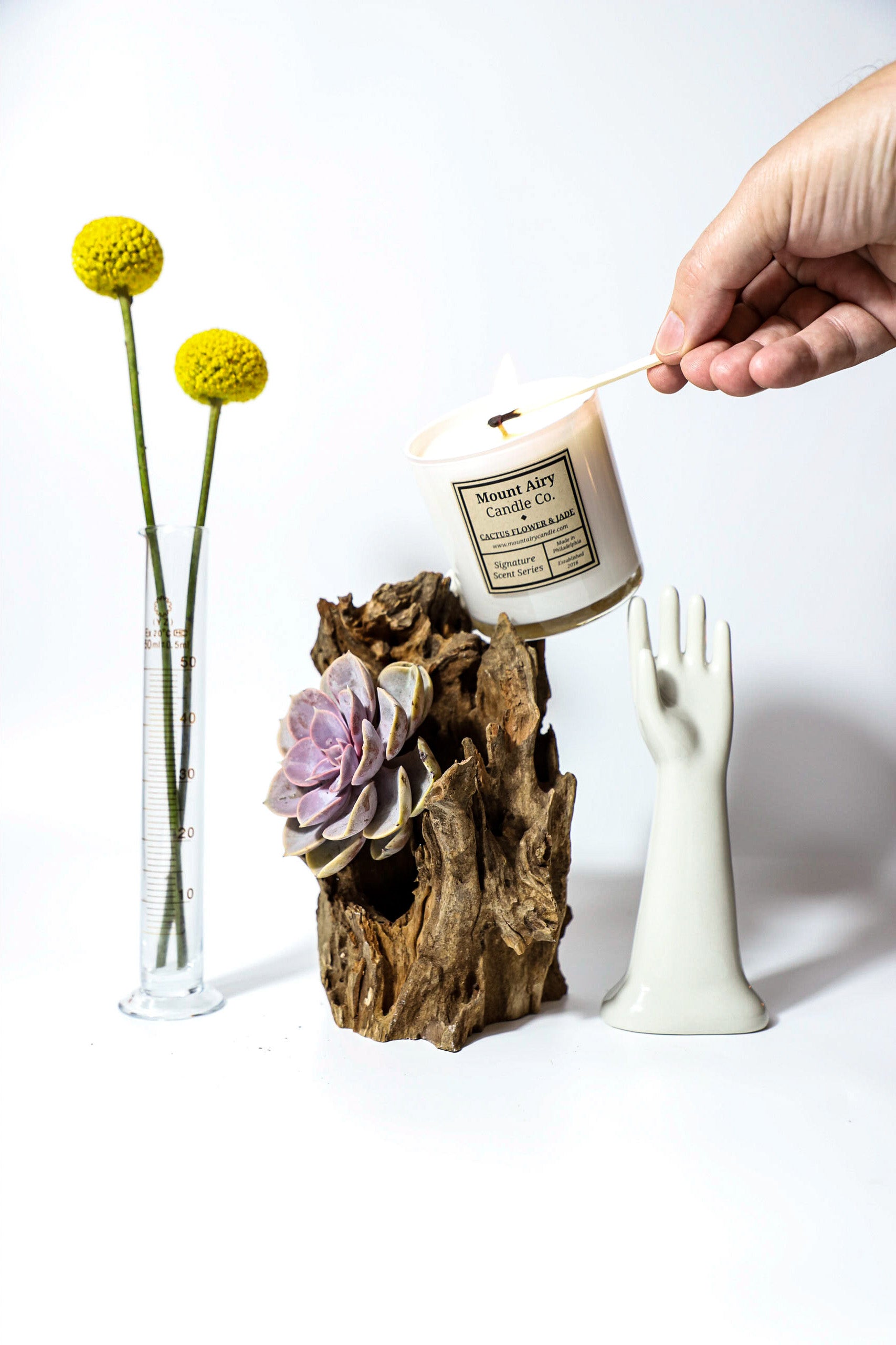 succulent jade candle CACTUS FLOWER & JADE – Mount Airy Candle Co